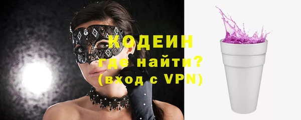 мдпв Тобольск
