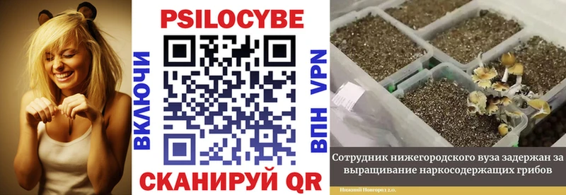 Псилоцибиновые грибы мухоморы  продажа наркотиков  Красный Сулин 